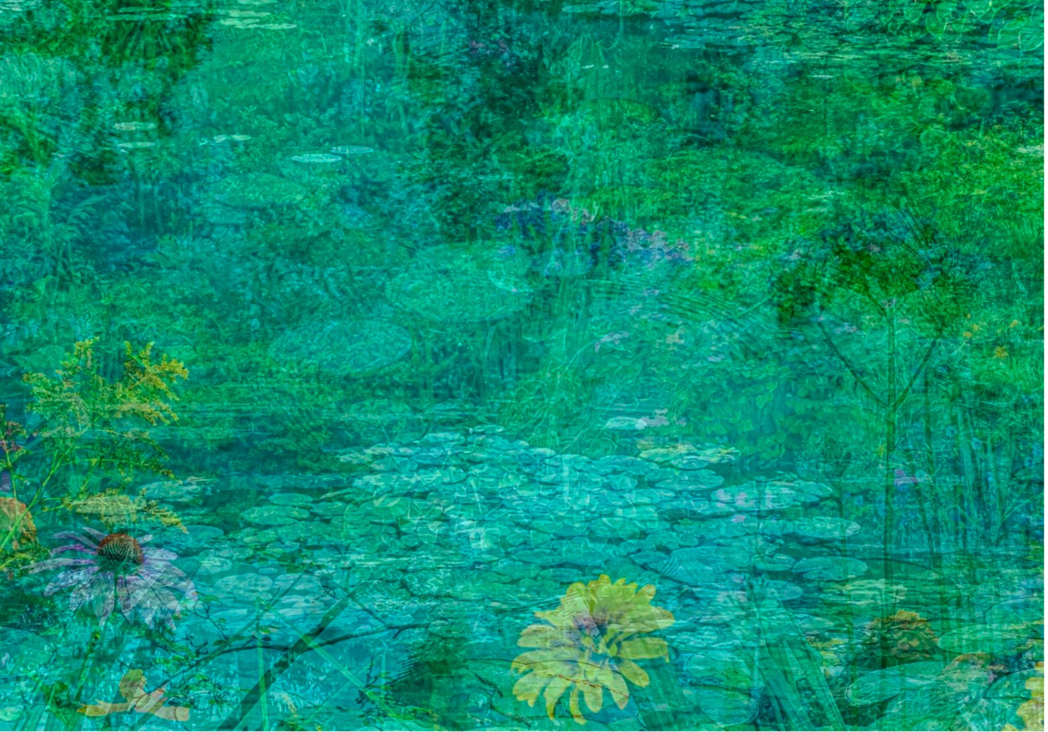 Lago fiorito