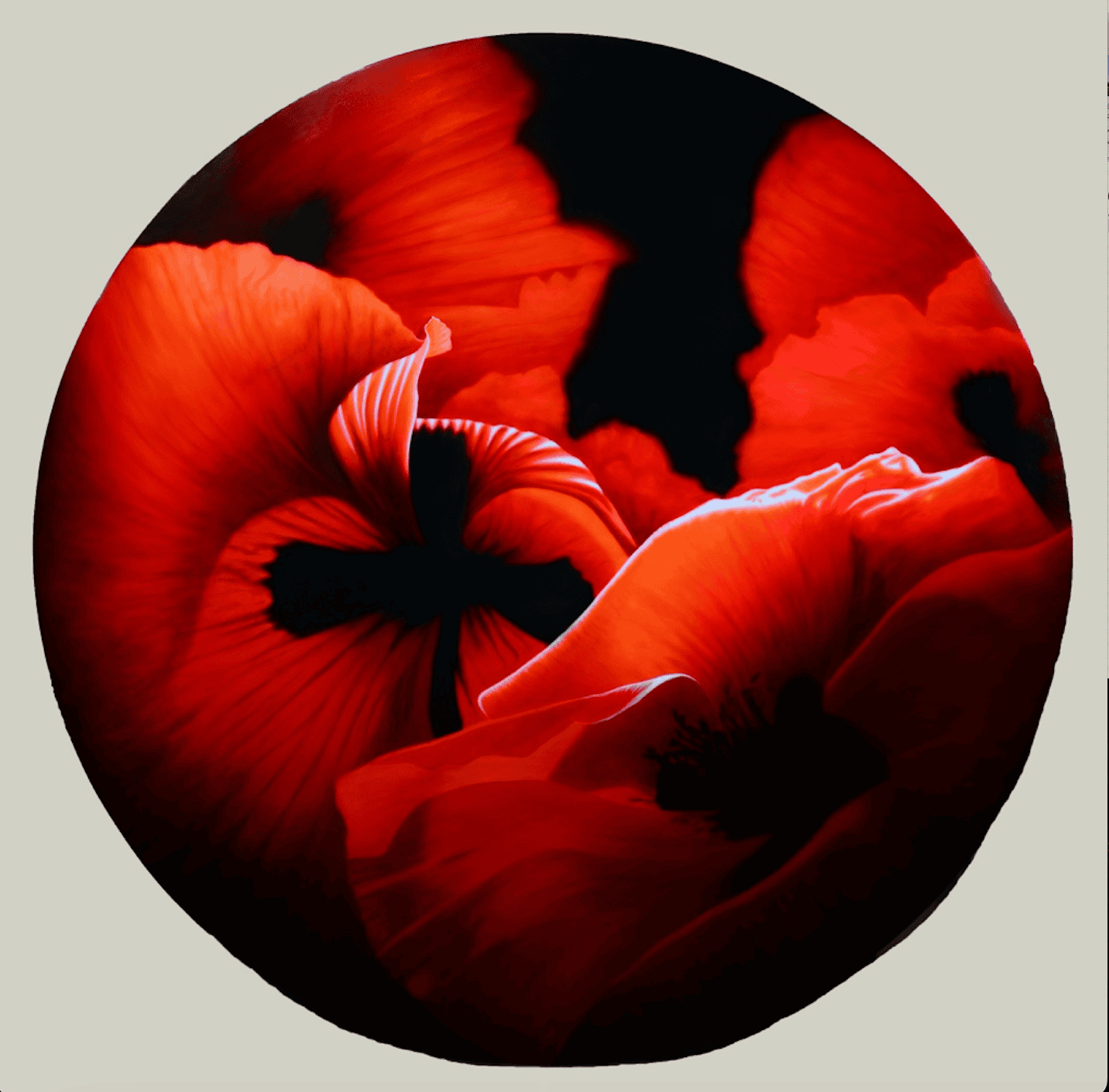 Tondo rosso sandalo