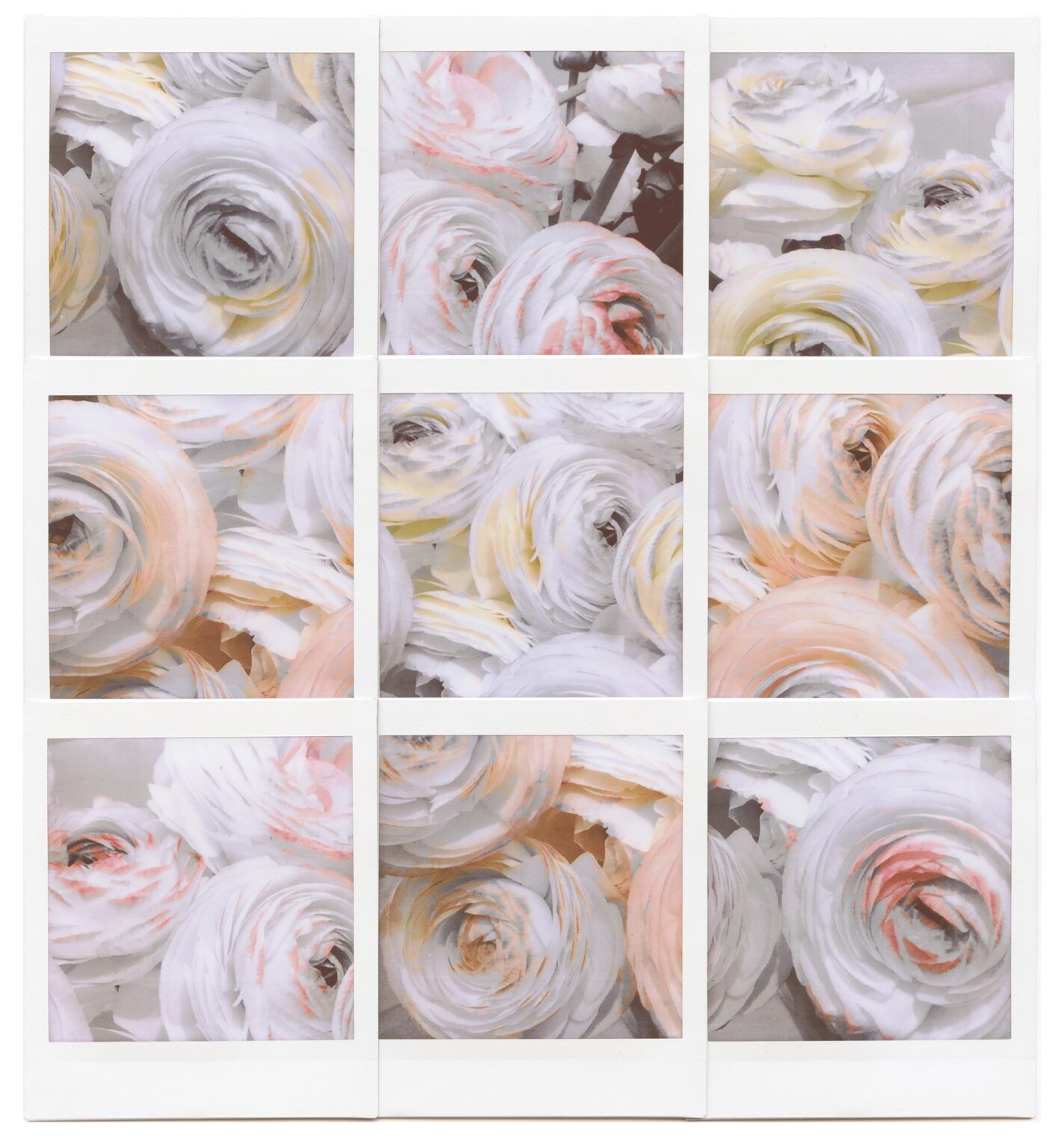 Wild Spring 9
