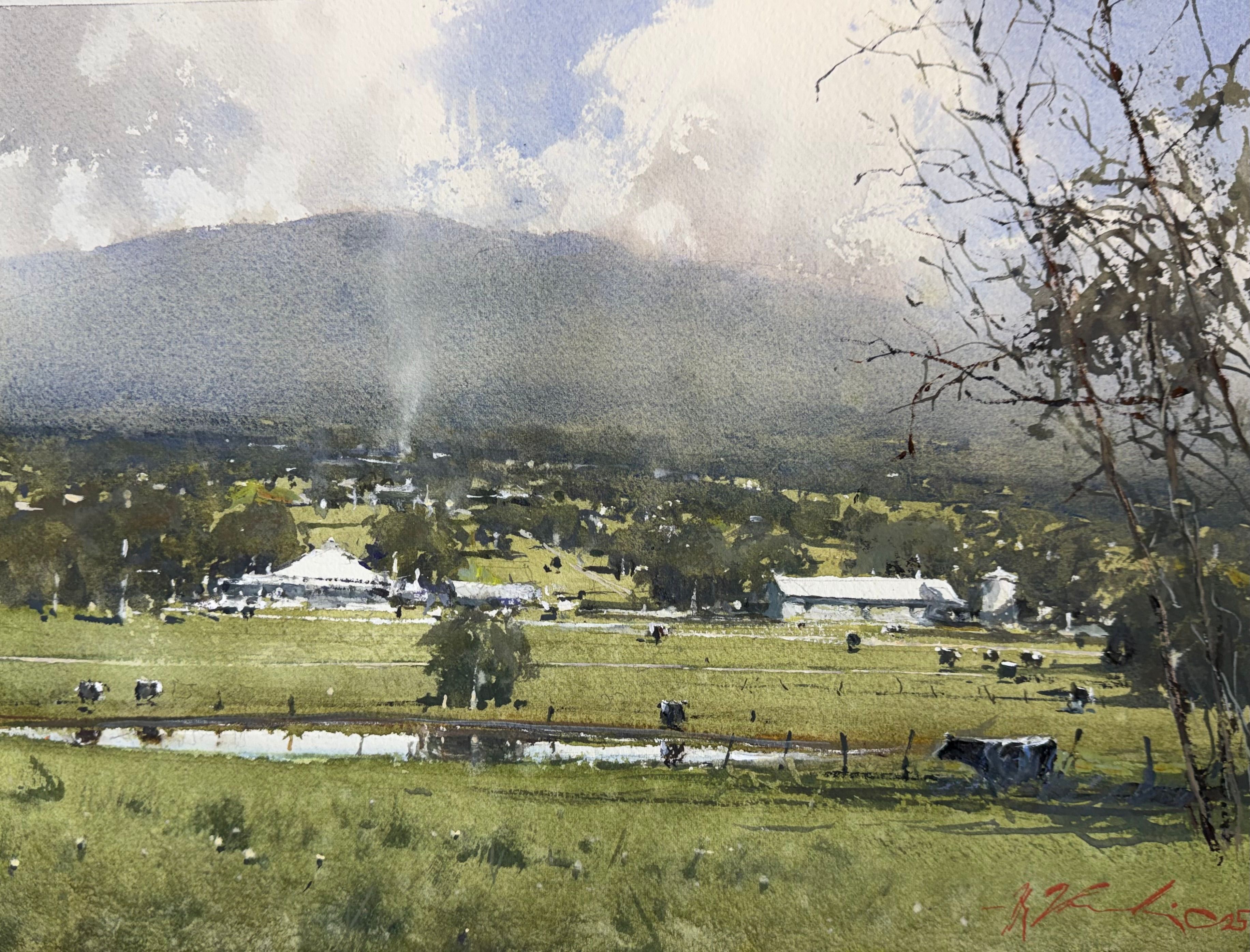 Spring time Yarra Valley