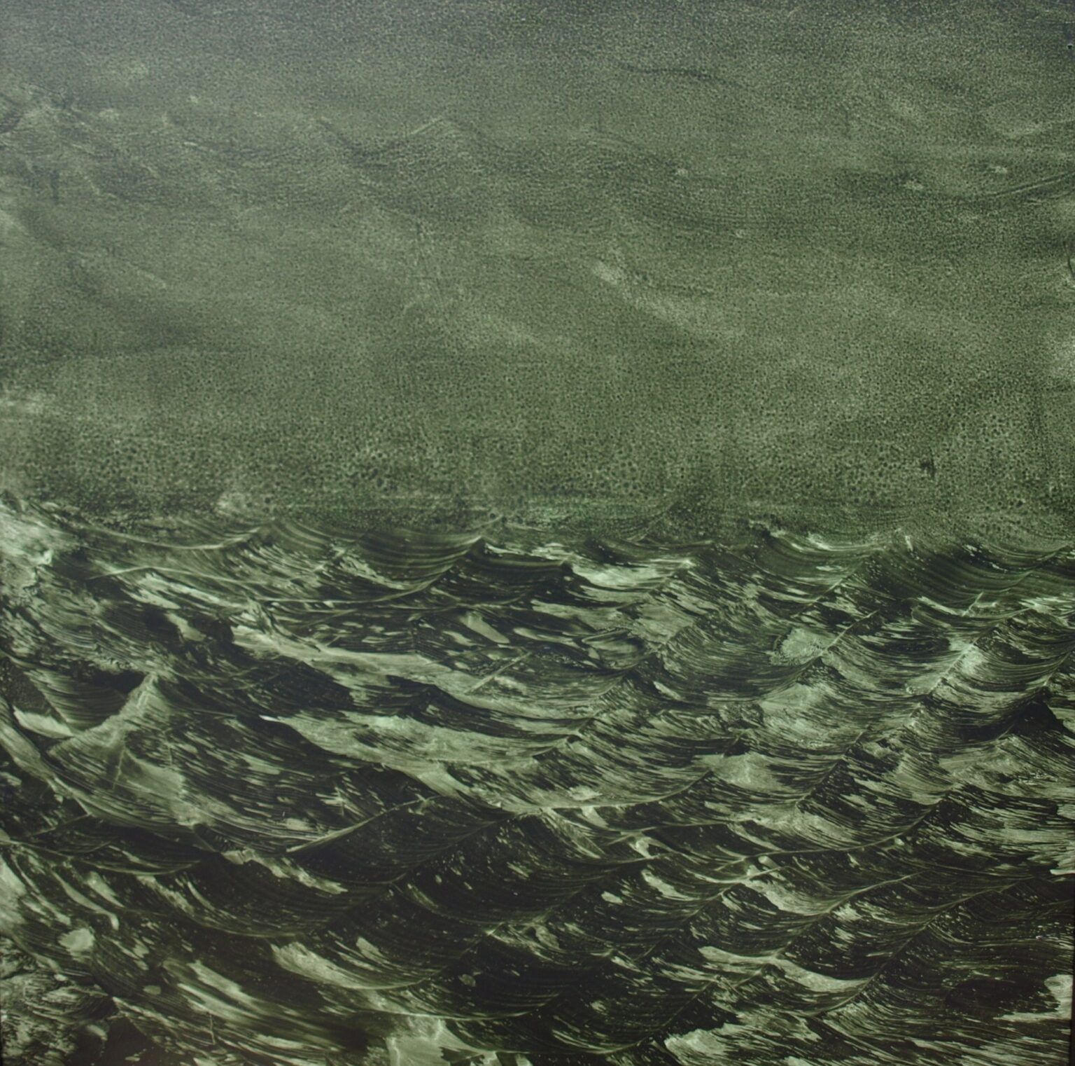 Latidos del mar 13
